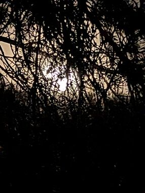 Not For Sale New Bundle For @debbieakaannita